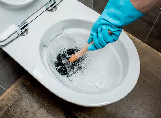 Drain Power Flush Services in New Toronto, Toronto