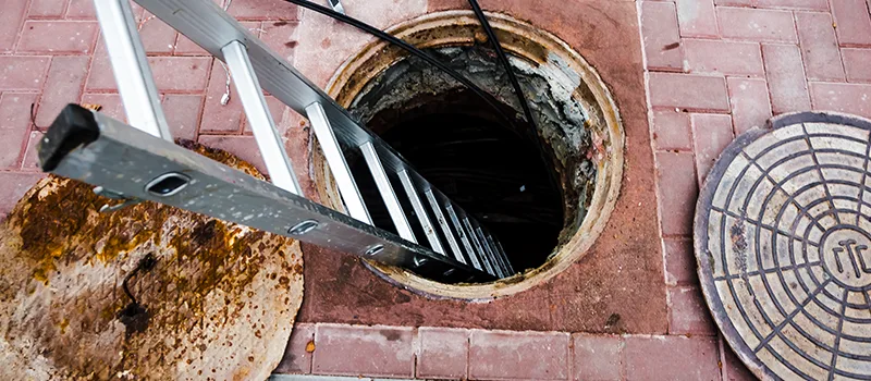 Drain Maintenance Service Near Me in New Toronto, Toronto